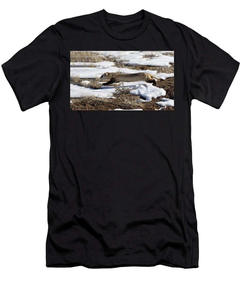 1 Black Footed Ferret Running Through Snow on Prairie Charlie Summers Natureplcom T-Shirt