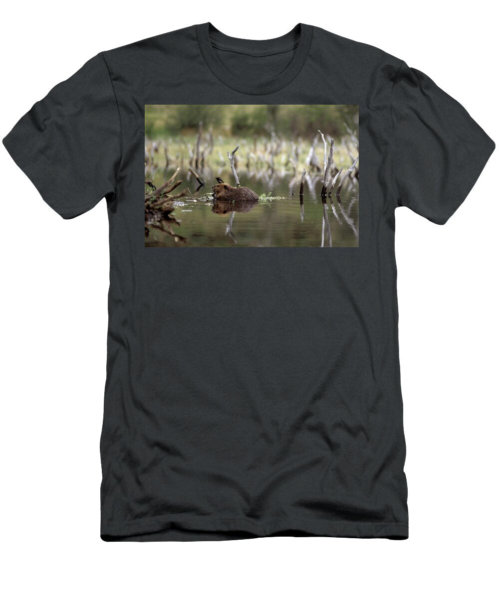 8 Environmental Woes of Tierra Del Fuego Kevin Moloney T-Shirt