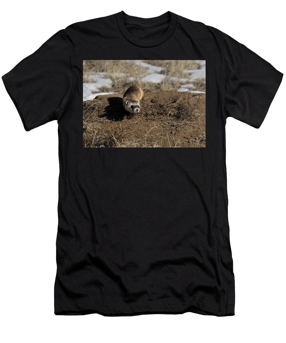 Black Footed Ferret Creeping Out of a Prairie Dog Burrow Charlie Summers Natureplcom T-Shirt