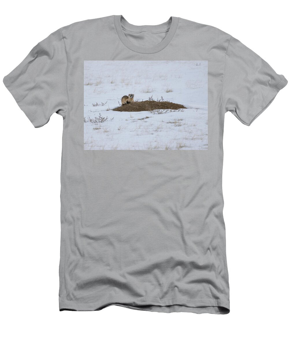 Black Footed Ferret Juvenile Sitting on Prairie Dog Burrow Charlie Summers Natureplcom T-Shirt
