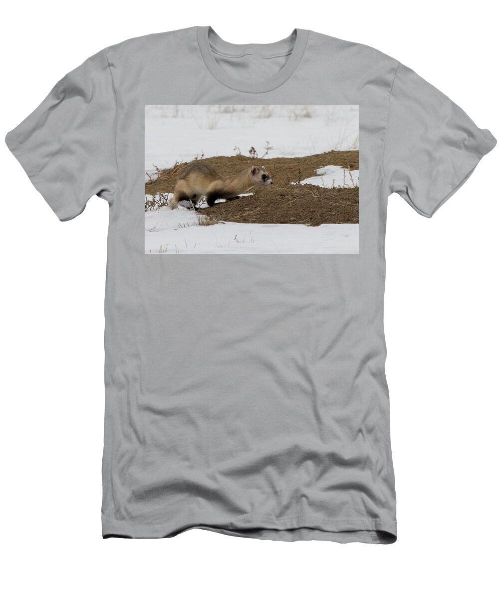 Black Footed Ferret Peering Down Entrance to Prairie Dog Charlie Summers Natureplcom T-Shirt