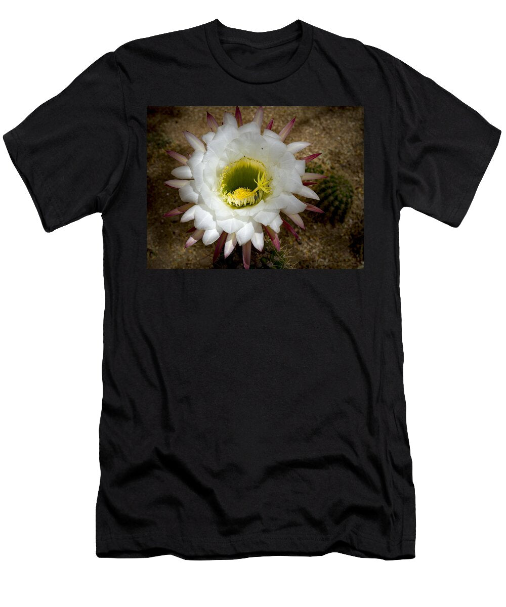 Blooming Hedgehog Cactus Jean Noren T-Shirt