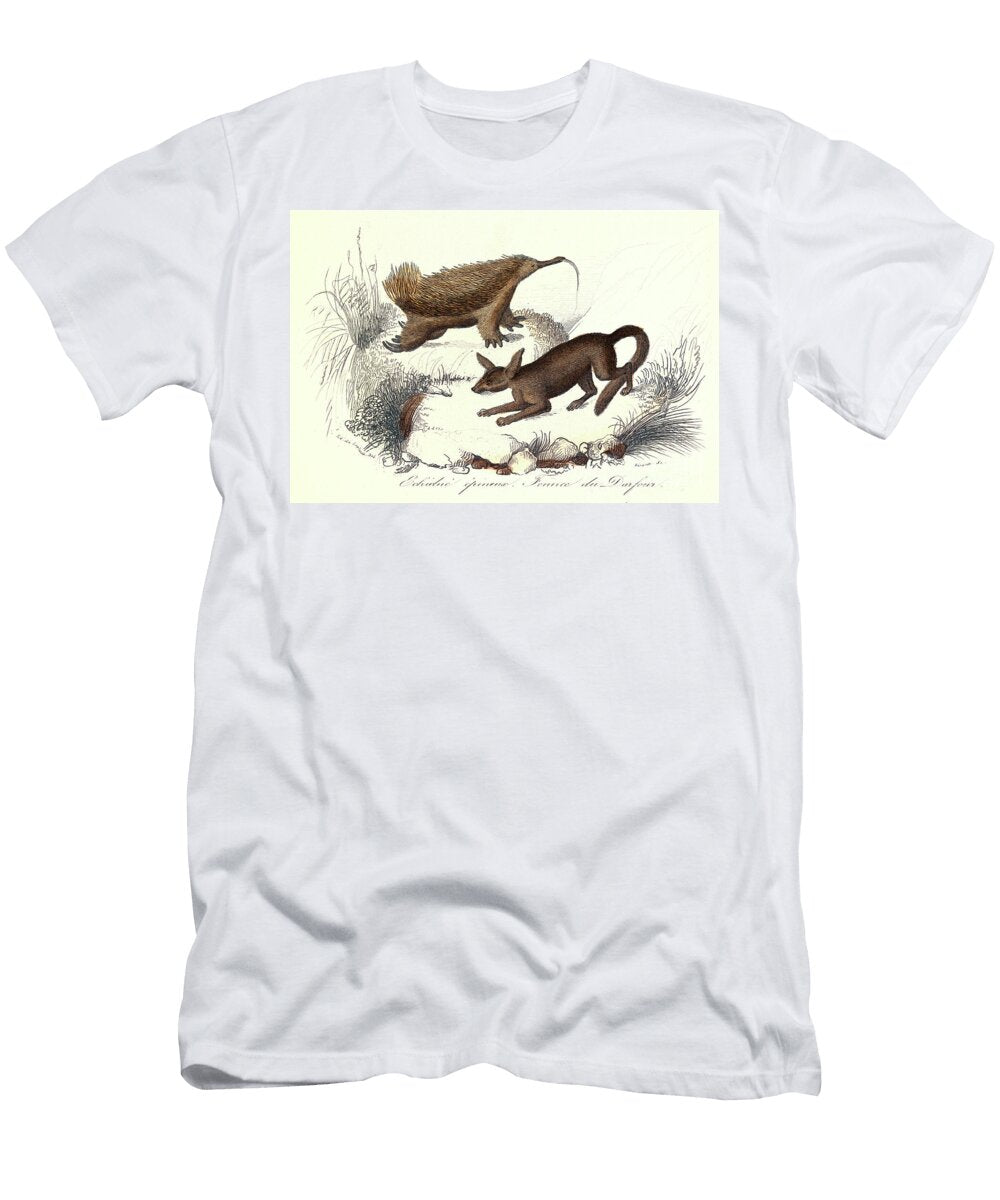 Complete Works of Buffon Les Animaux Domestiques Lechidne Epineux Et Le Fennec De Derfour Engraving Unknown Artist T-Shirt