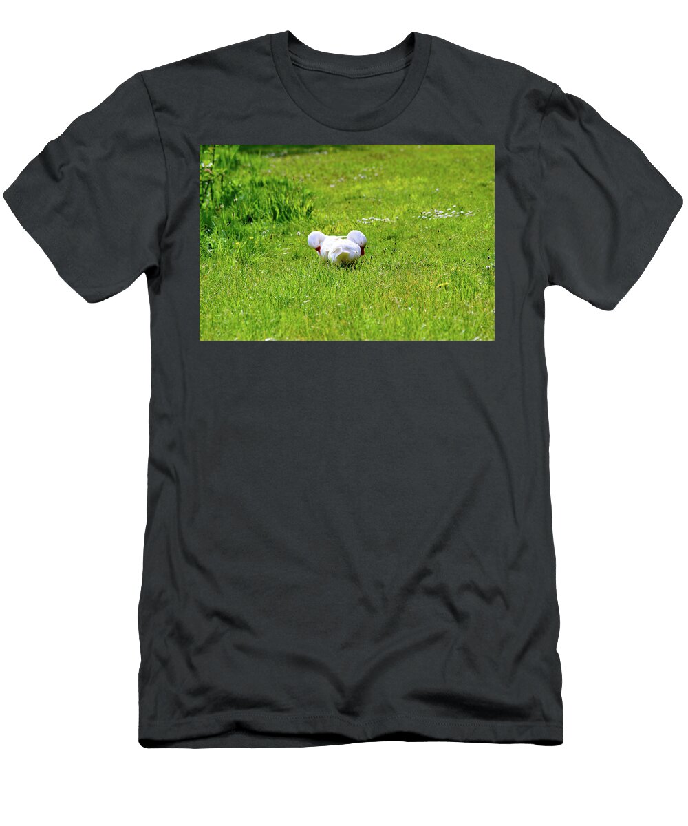 Couple of Cute American Peking Ducks Grooming Johan Ferret T-Shirt