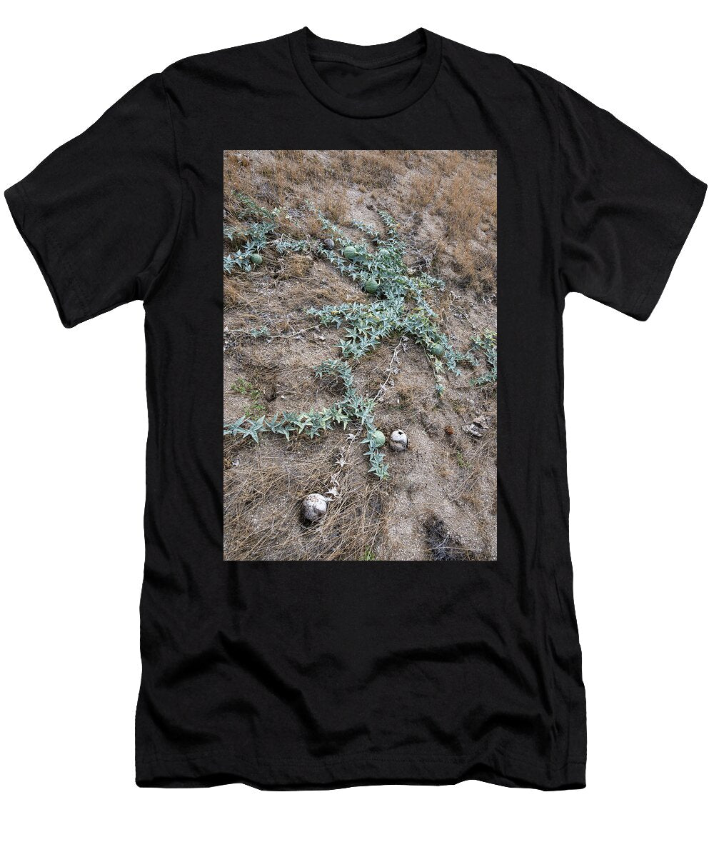 Coyote Gourd Robert Vanderwal T-Shirt