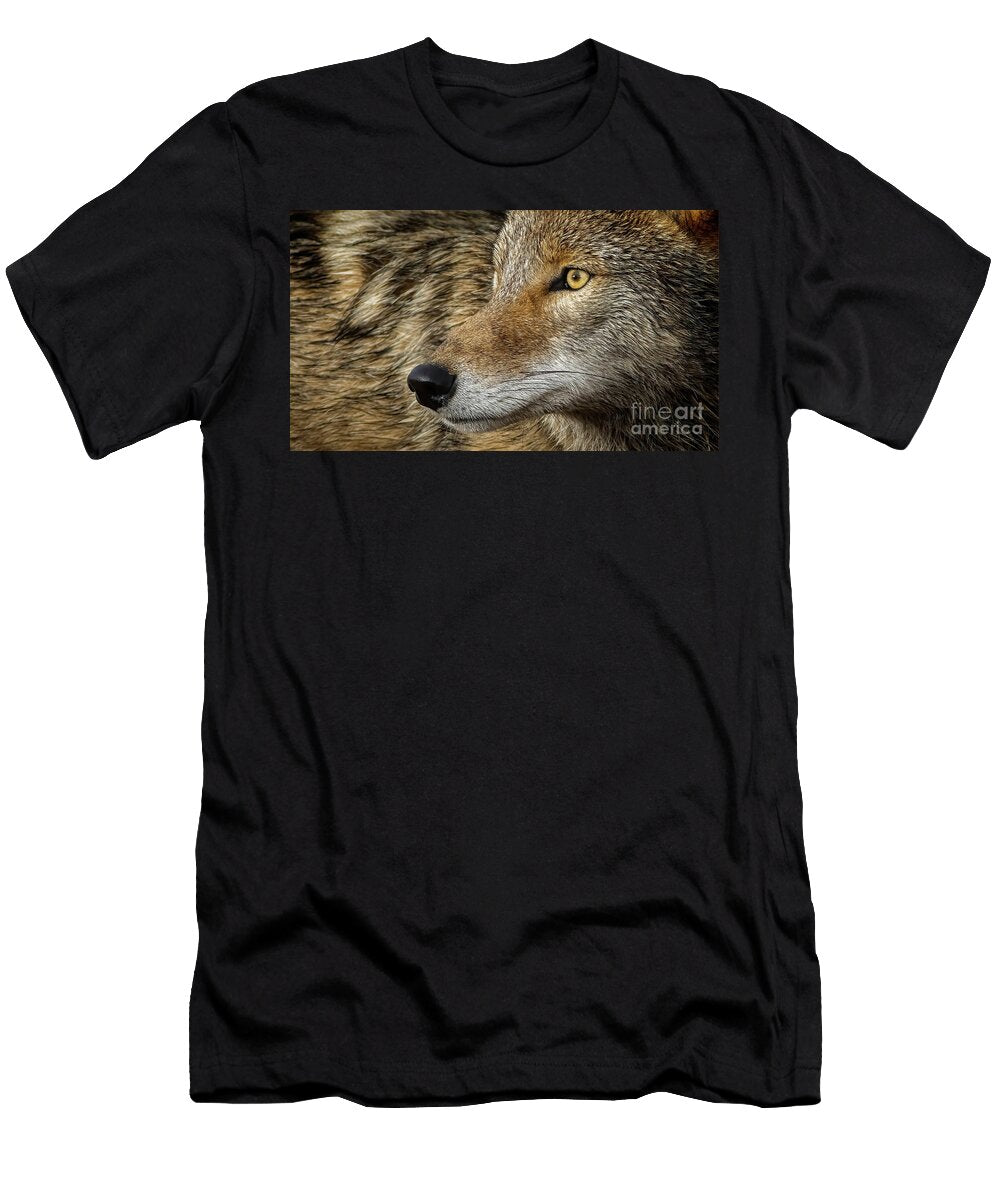 Coyote Stair Todd Bielby T-Shirt