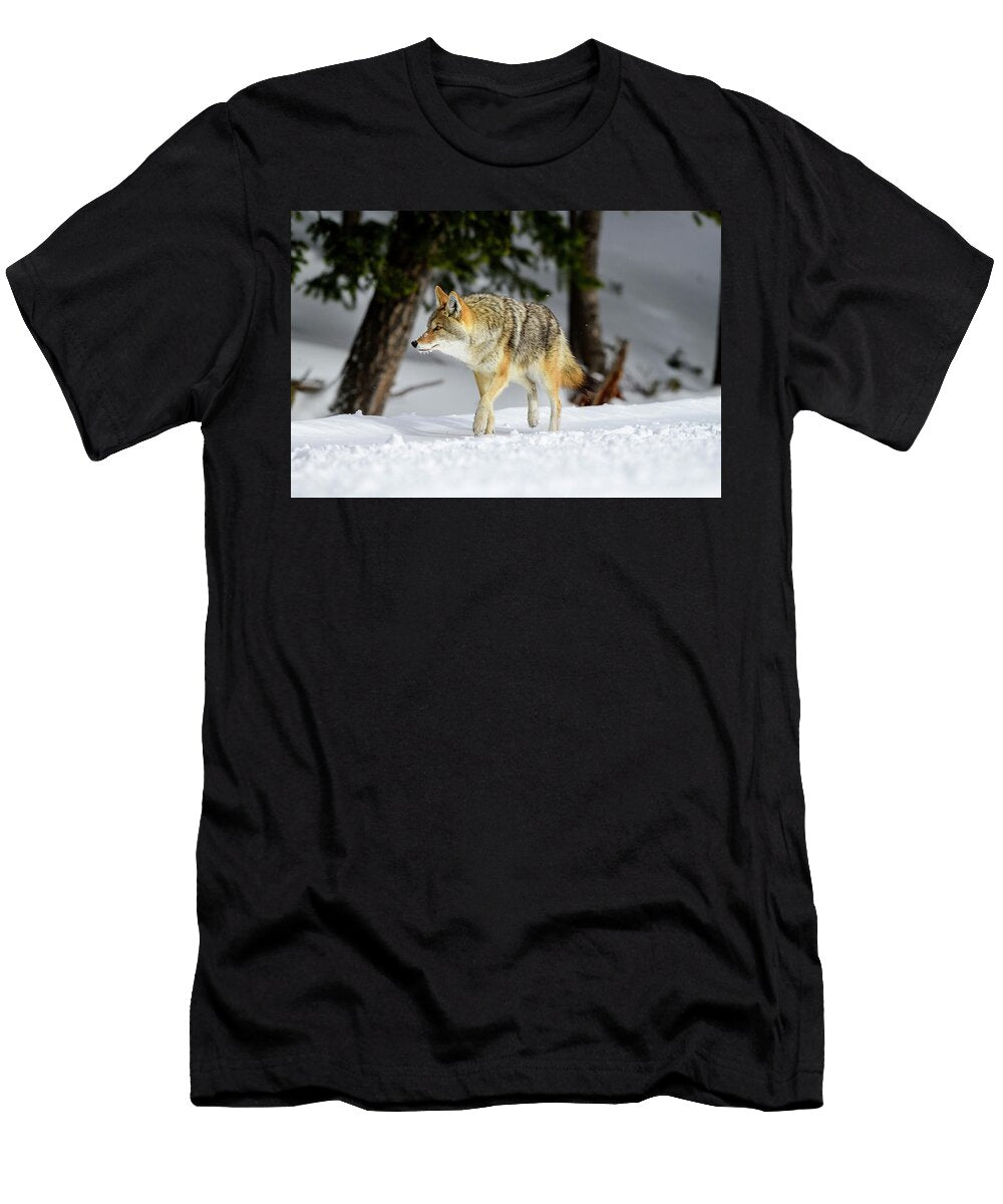 Coyote Walking Through Woodland in Winter Yellowstone Nick Garbutt Natureplcom T-Shirt