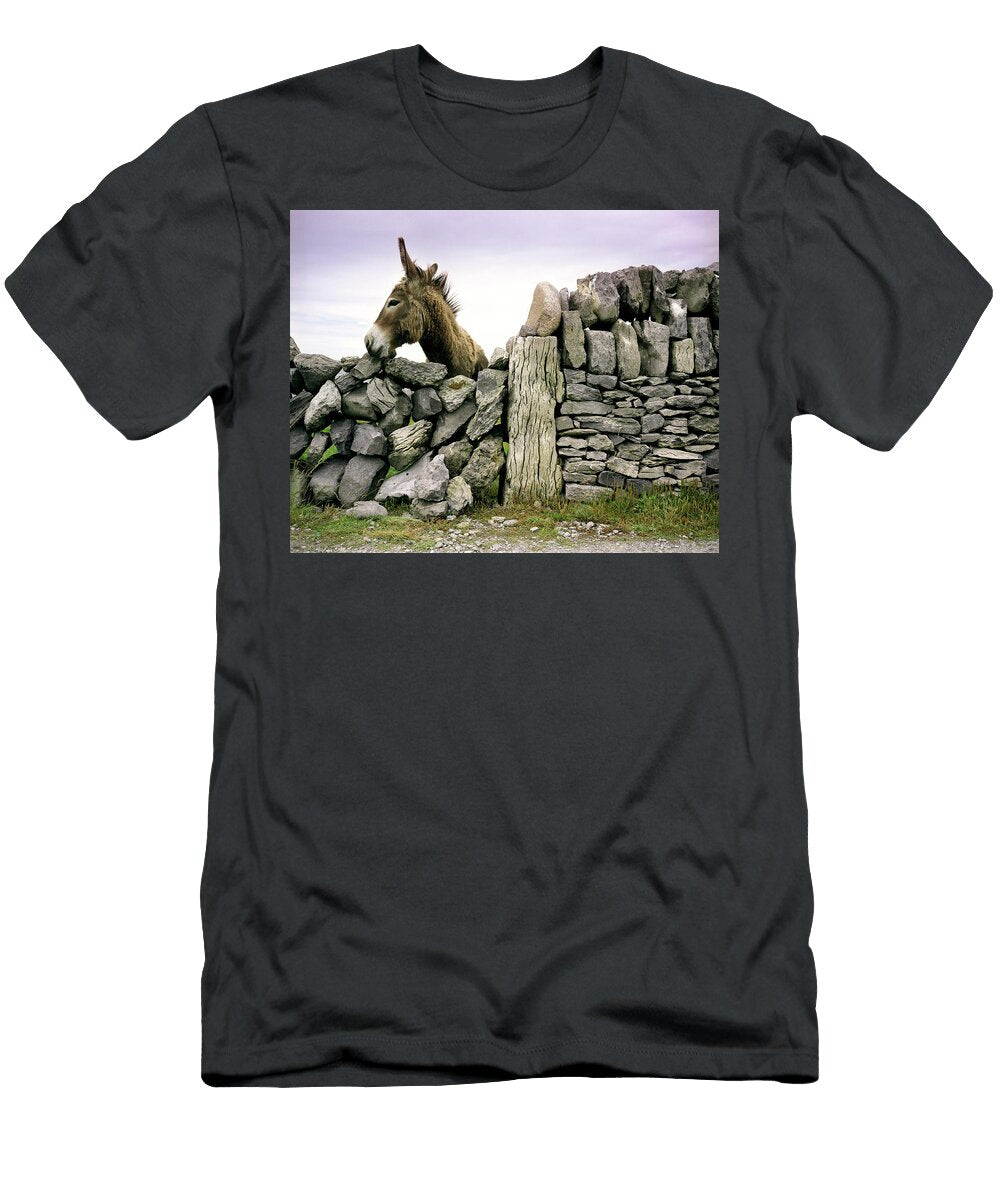 Donkey Peeks Over Ancient Wall Ryan Donnell T-Shirt