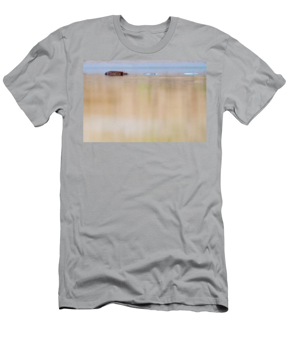 Eurasian Beaver a Reintroduced Species Swimming in River Staffan Widstrand Natureplcom T-Shirt