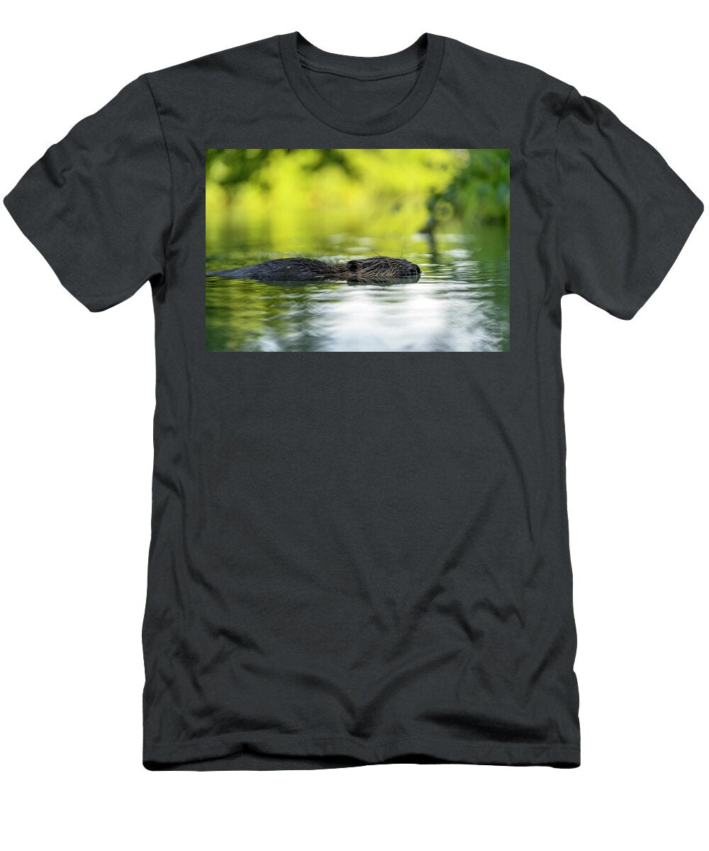 Eurasian Beaver Swimming in River Lucerne Switzerland Roman Willi Natureplcom T-Shirt