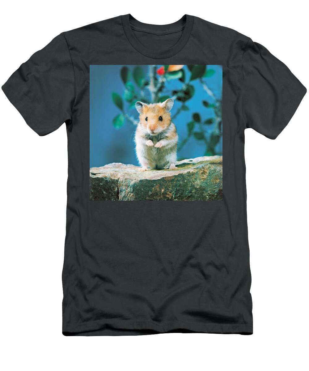 Golden Hamster Toni Angermayer T-Shirt