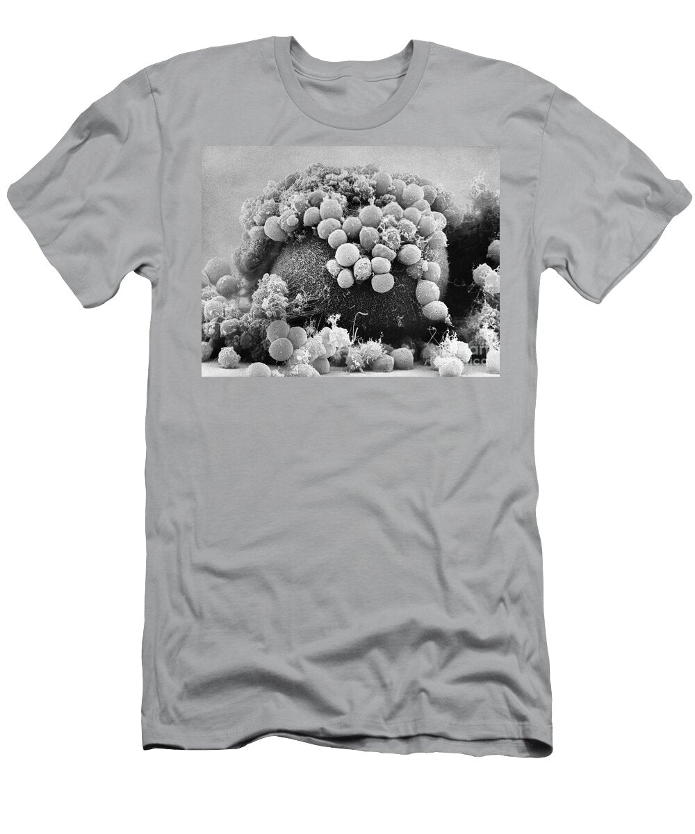 Hamster Egg and Cumulus Cells Sem David M Phillips T-Shirt