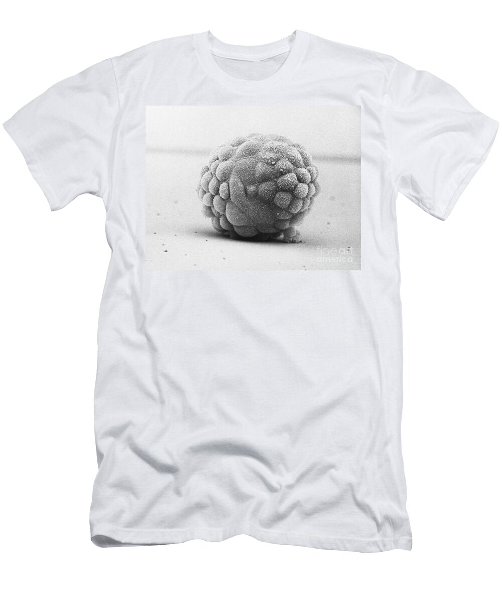Hamster Embryo Sem David M Phillips T-Shirt