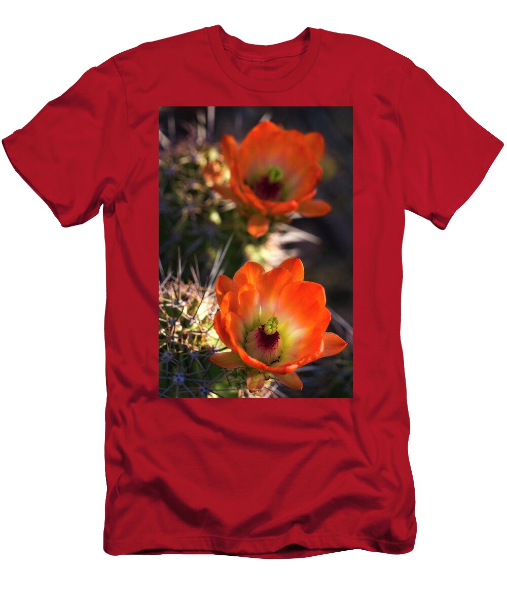 Hedgehog Flowers in Dawns Early Light Saija Lehtonen T-Shirt