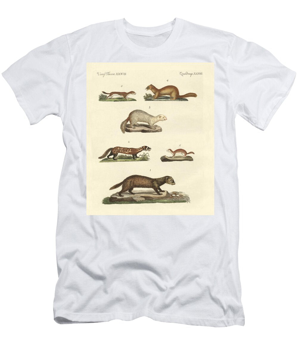 Martens and Weasel Splendid Art Prints T-Shirt