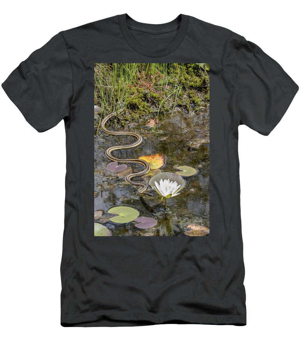 Ribbon Snake Gliding Over Water Surface Towards a Fragrant Doug Wechsler Natureplcom T-Shirt